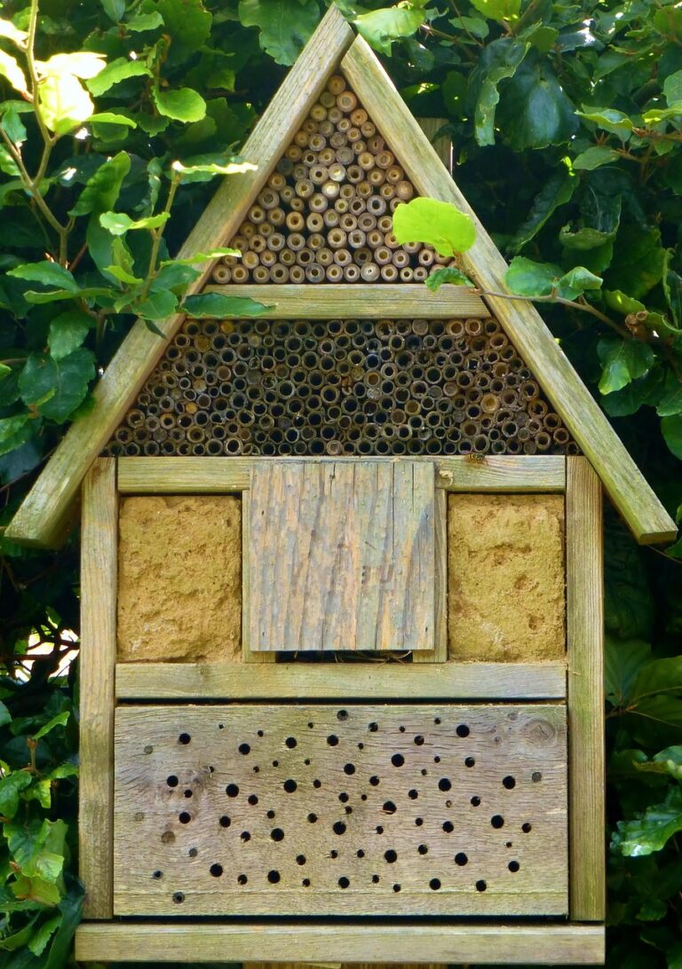 insect hotel, bees, block of wood, bee hotel, insects, wood, nature, wild bees, wild bee hotel, natural reserve, insect hotel, insect hotel, bee hotel, bee hotel, bee hotel, bee hotel, bee hotel